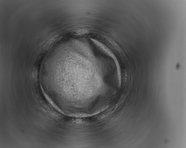 X0000094380565200711242025
