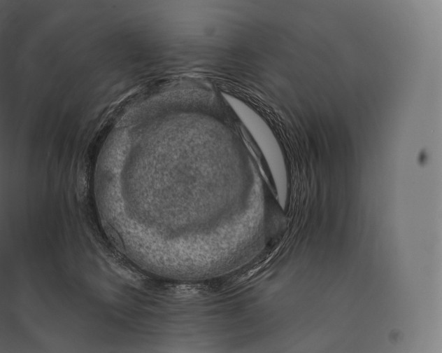 X0000094380566200711242025