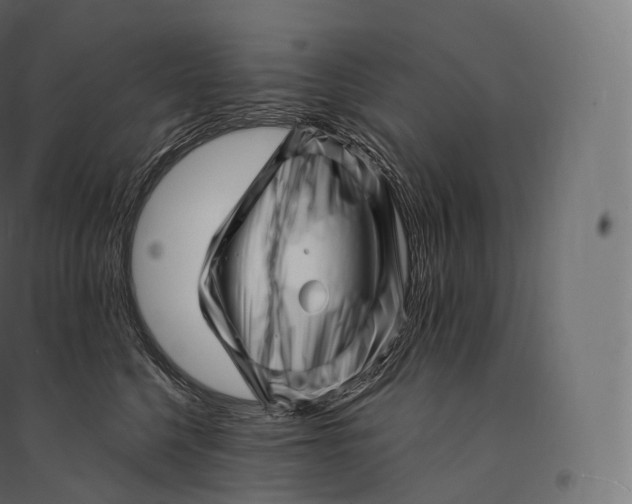 X0000094380568200711242025