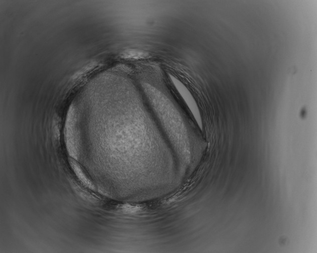 X0000094380570200711242025