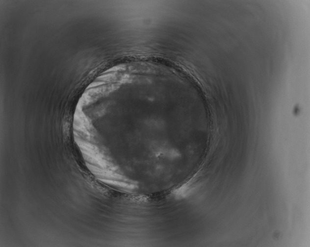 X0000094380576200711242025