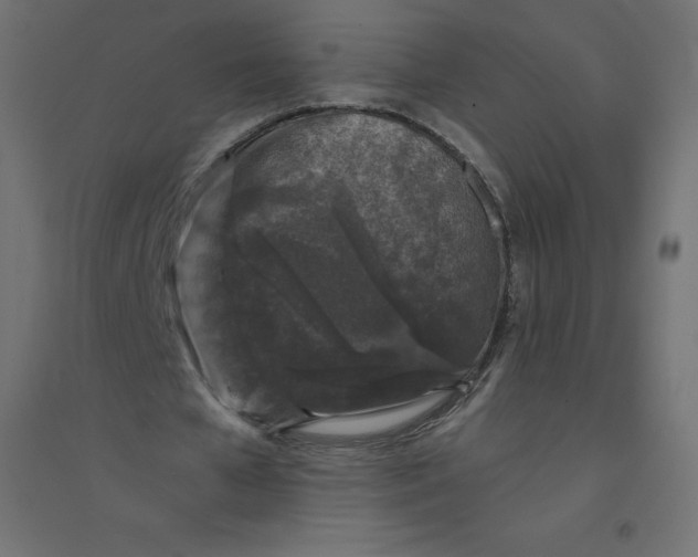 X0000094380577200711242024