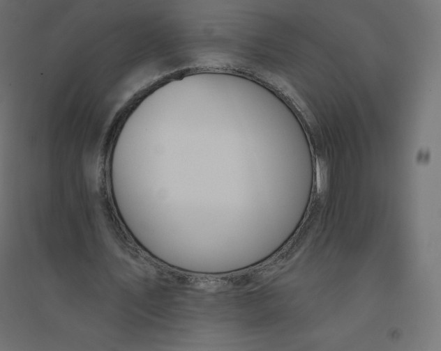 X0000094380579200711242024