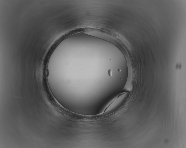 X0000094380580200711242024