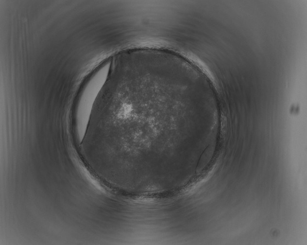 X0000094380581200711242024