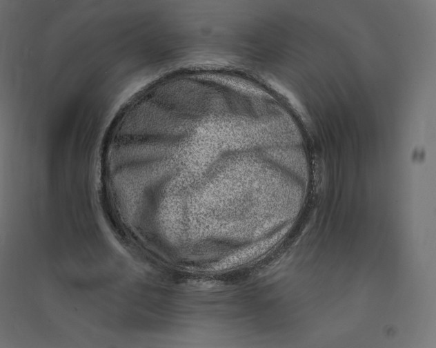X0000094380582200711242024
