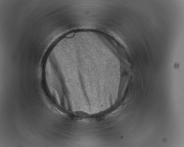 X0000094380584200711242024