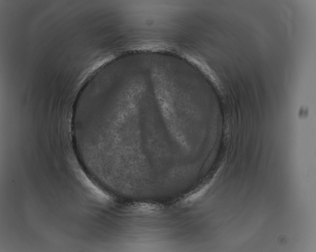 X0000094380585200711242024