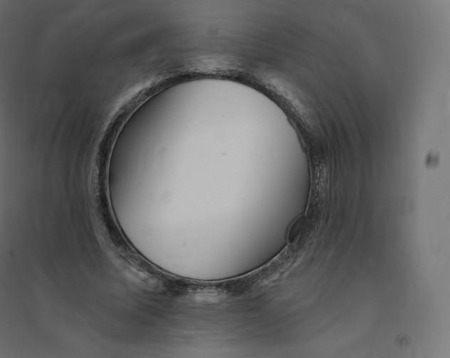 X0000094380587200711242024