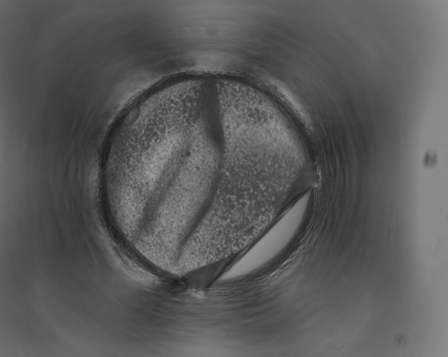 X0000094380588200711242024