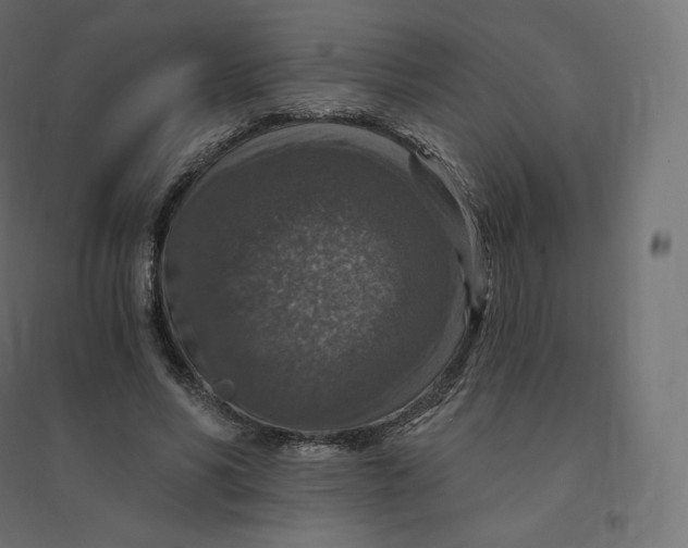 X0000094380590200711242024