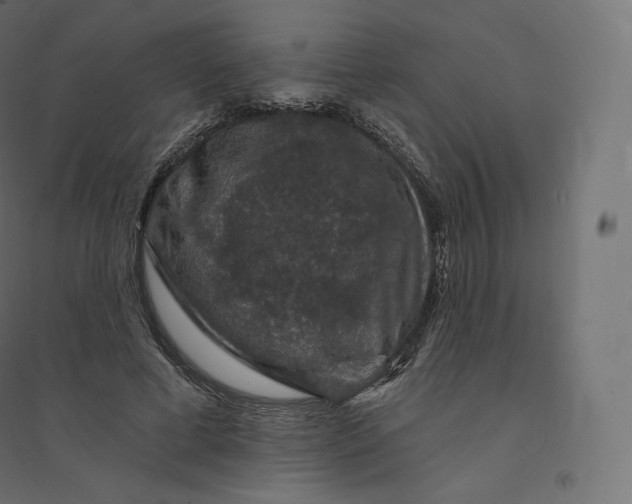 X0000094380593200711242024