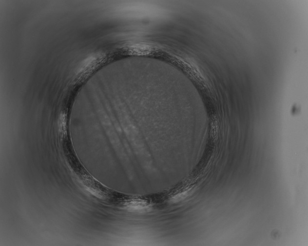 X0000094380598200711242024