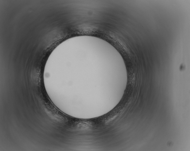 X0000094380599200711242024