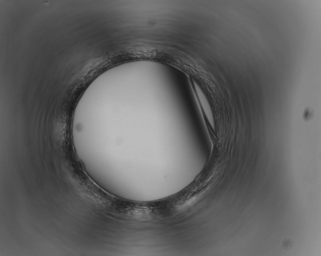 X0000094380600200711242024
