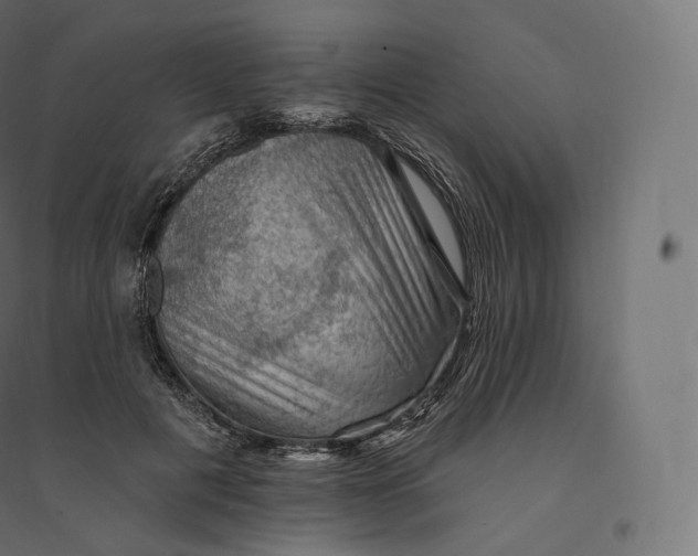 X0000094380601200711242024