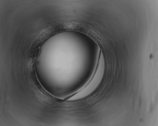 X0000094380605200711242024