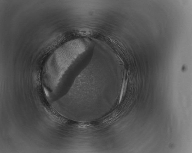 X0000094380606200711242024