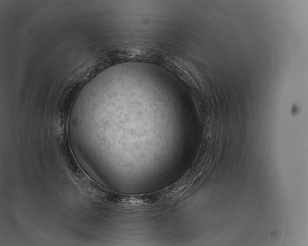 X0000094380607200711242024