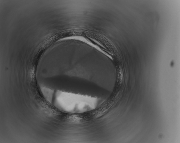 X0000094380610200711242024