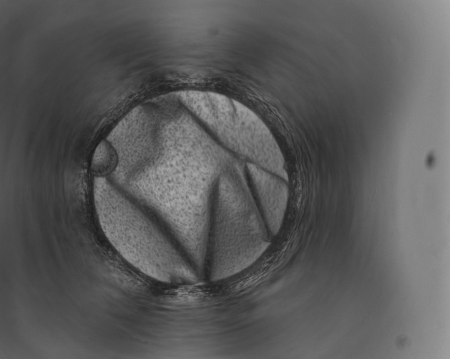 X0000094380612200711242024