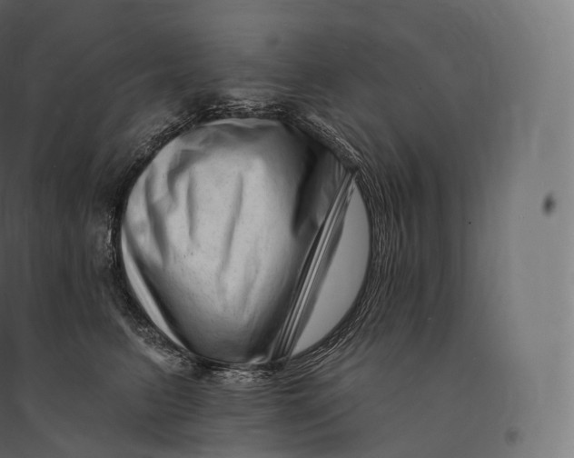 X0000094380615200711242024