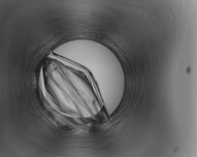 X0000094380617200711242024