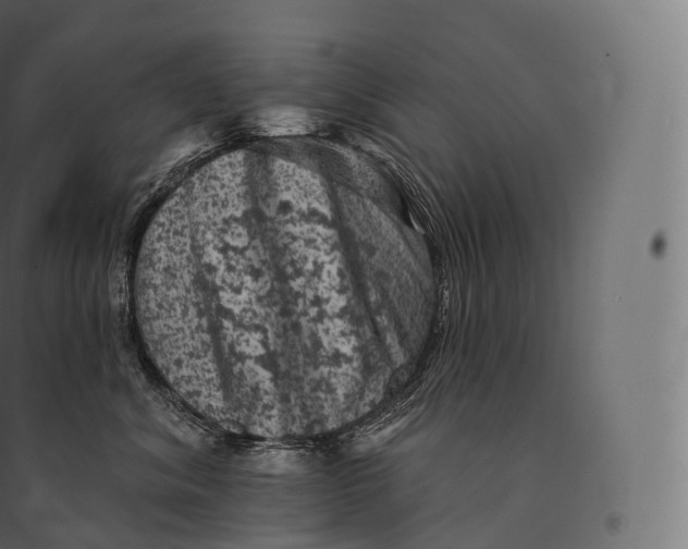X0000094380620200711242024