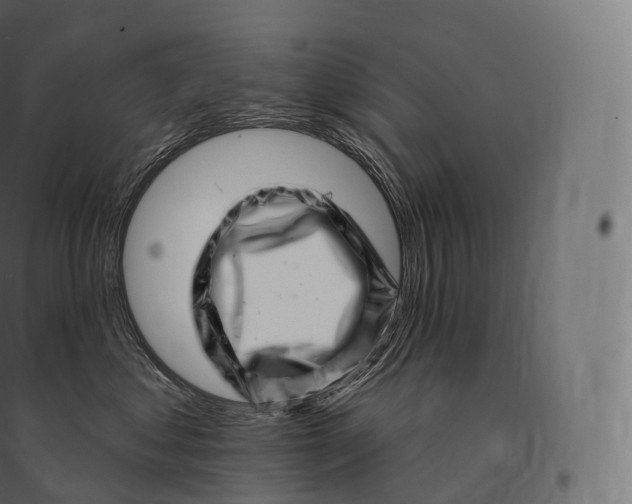X0000094380621200711242023