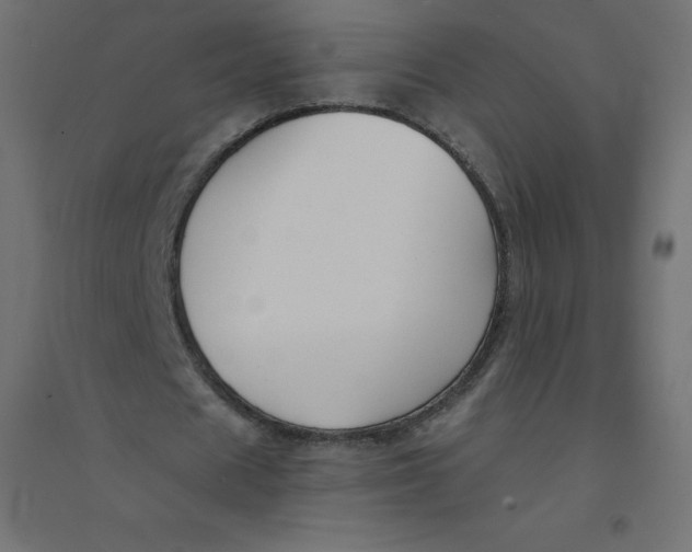 X0000094380625200711242023