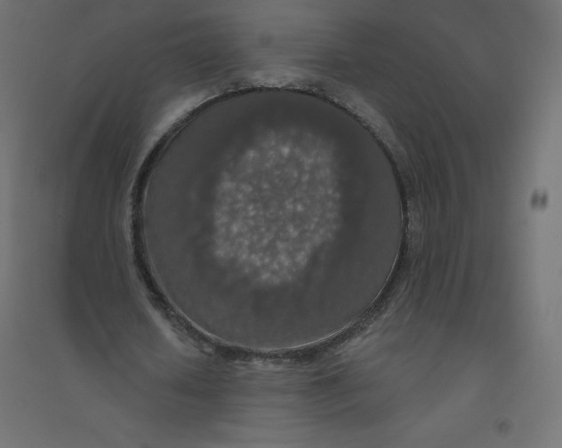 X0000094380626200711242023