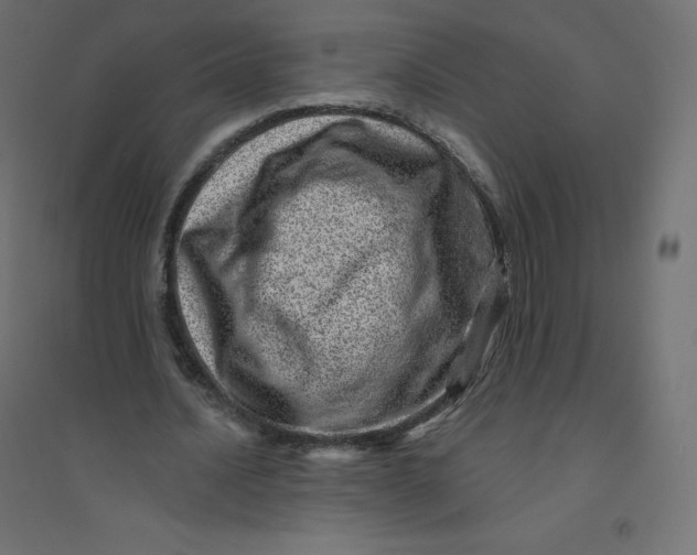 X0000094380628200711242023