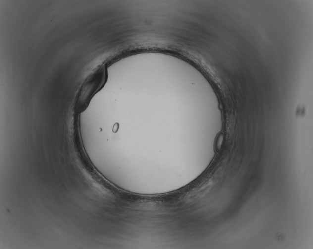 X0000094380629200711242023