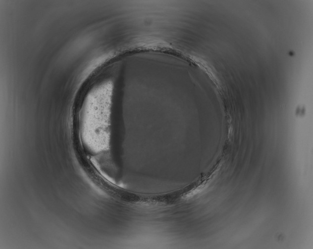 X0000094380630200711242023