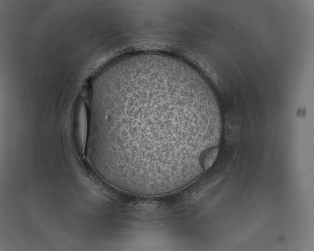 X0000094380631200711242023