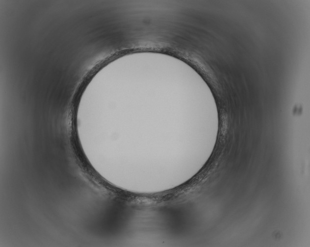 X0000094380632200711242023