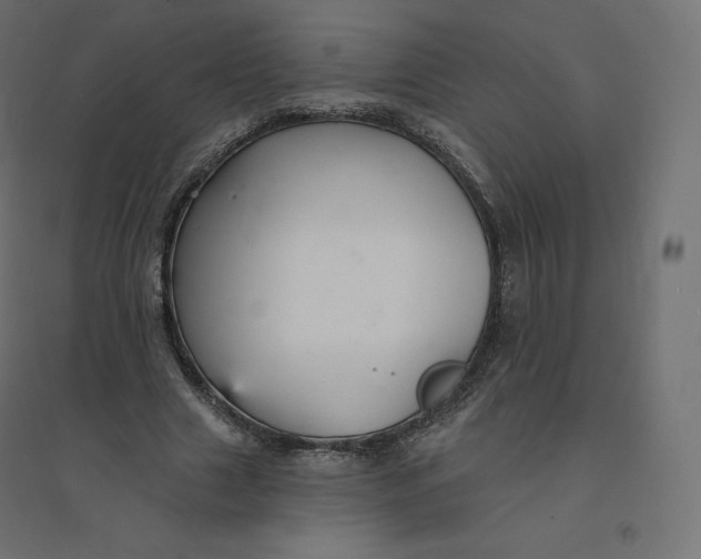 X0000094380633200711242023