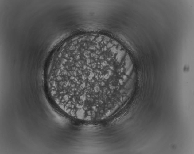 X0000094380634200711242023