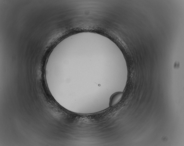 X0000094380635200711242023