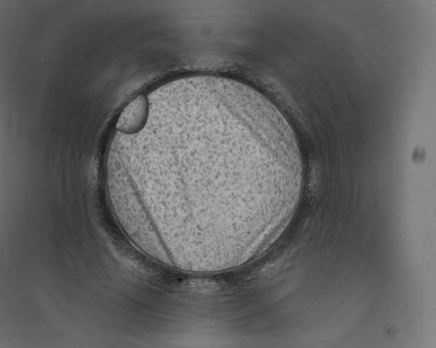 X0000094380636200711242023