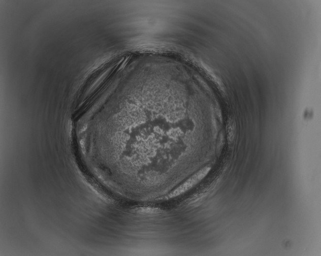 X0000094380637200711242023