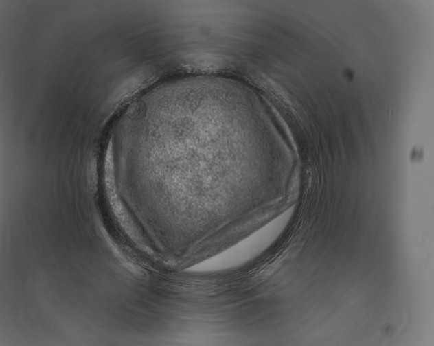 X0000094380638200711242023