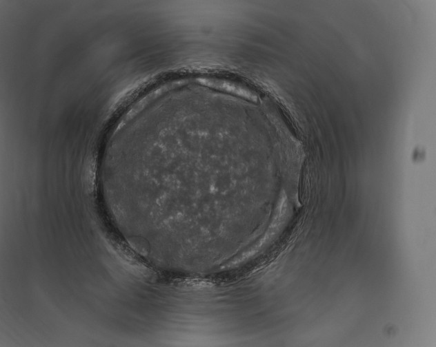 X0000094380640200711242023