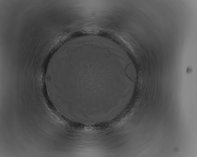 X0000094380641200711242023