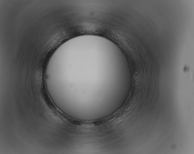 X0000094380642200711242023