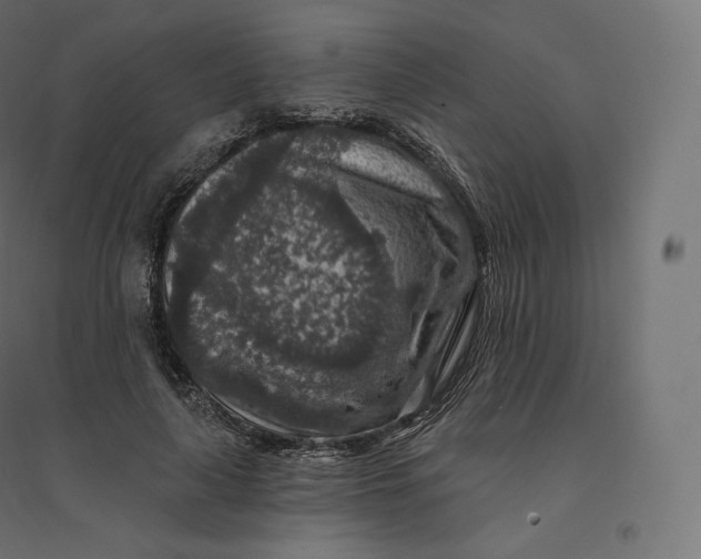 X0000094380643200711242023