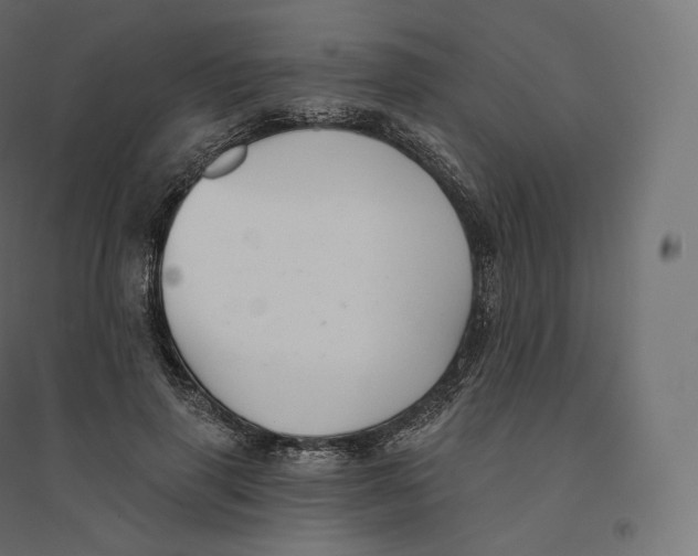 X0000094380645200711242023