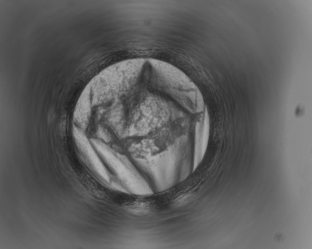X0000094380647200711242023