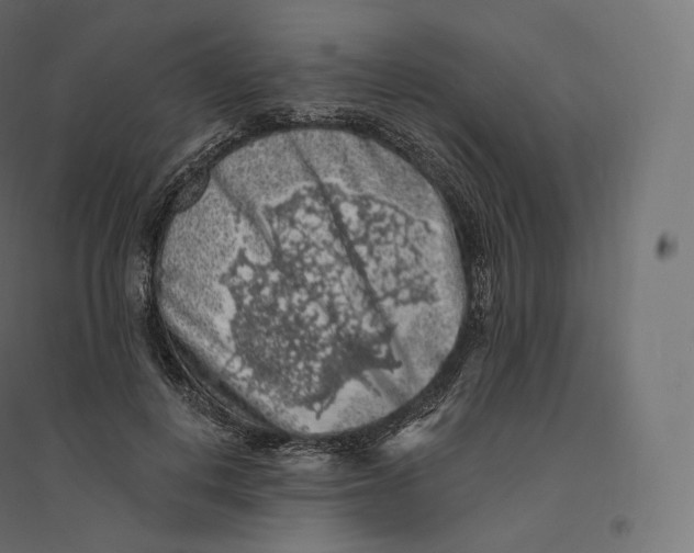 X0000094380648200711242023