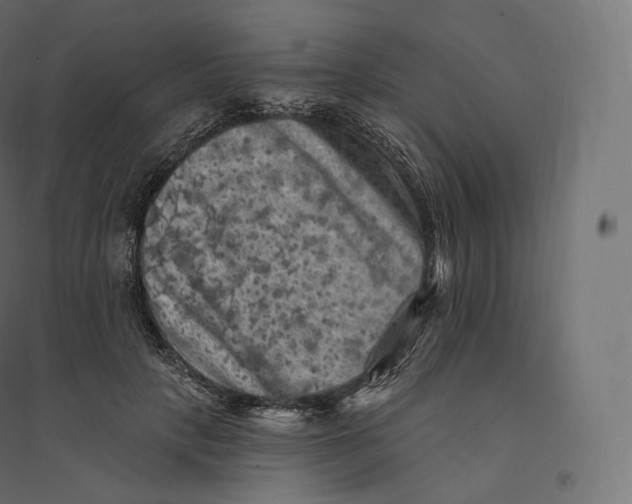 X0000094380649200711242023